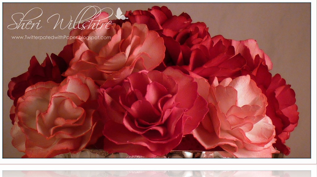 [Carnations-1%2520copy%255B4%255D.jpg]