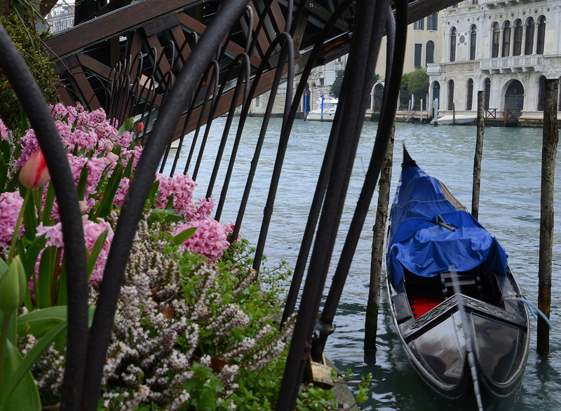 DSC_8098_1w.jpg DSC 8098 1w