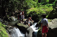 pinoyecofarm november_0057.JPG