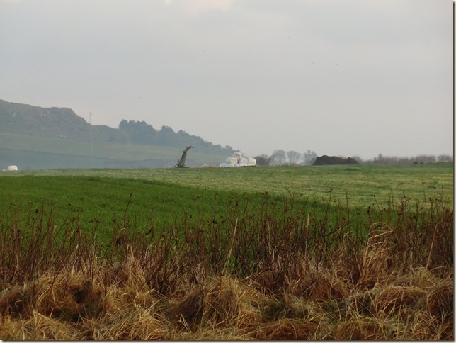 november 4 2011 035