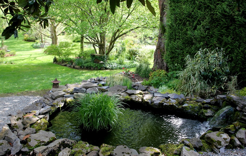 [IMG_9859%255B3%255D.jpg]