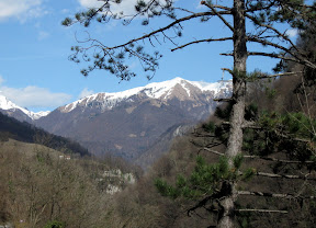 Pogled na Kobiljo glavo iz Soške doline./View on Summit from Soča valley.