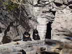 denver_zoo