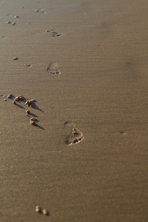 [footprints%255B5%255D.jpg]