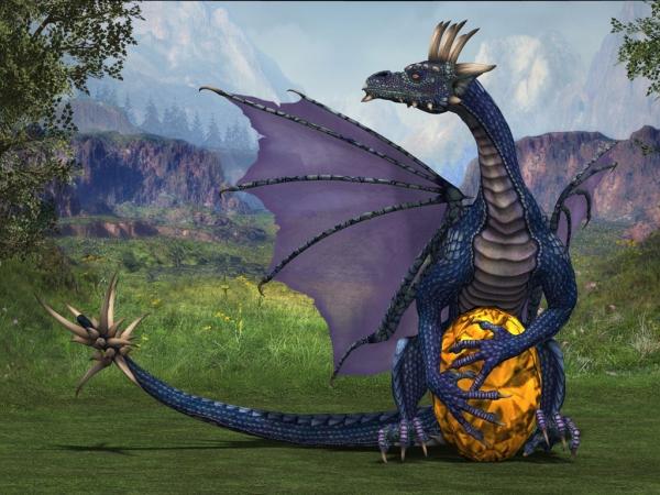 Drangon And An Egg, Dragons