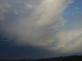 DSC01428.JPG