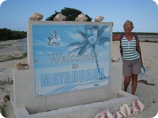 IMG_4675 IMG_4675