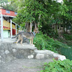 P1060161 (Copy).JPG