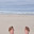DSC_0266-2.jpg