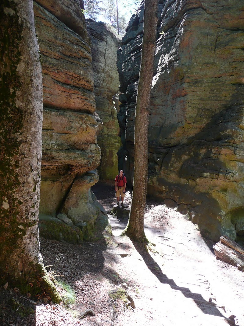 P1090369.JPG