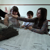 DSC04421.JPG