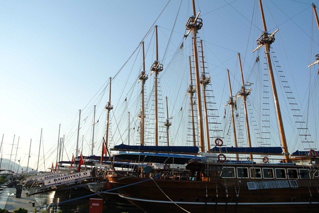 DSC_0774 DSC_0774