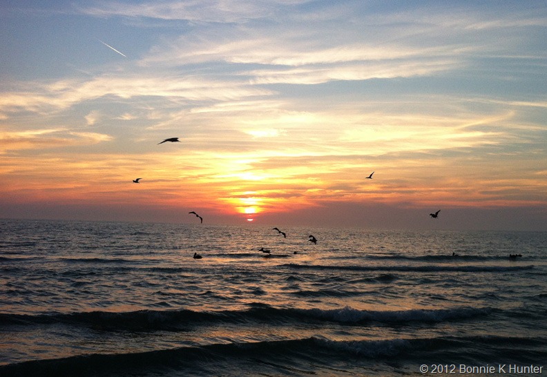 [FtMyersFL2012%2520213%255B6%255D.jpg]