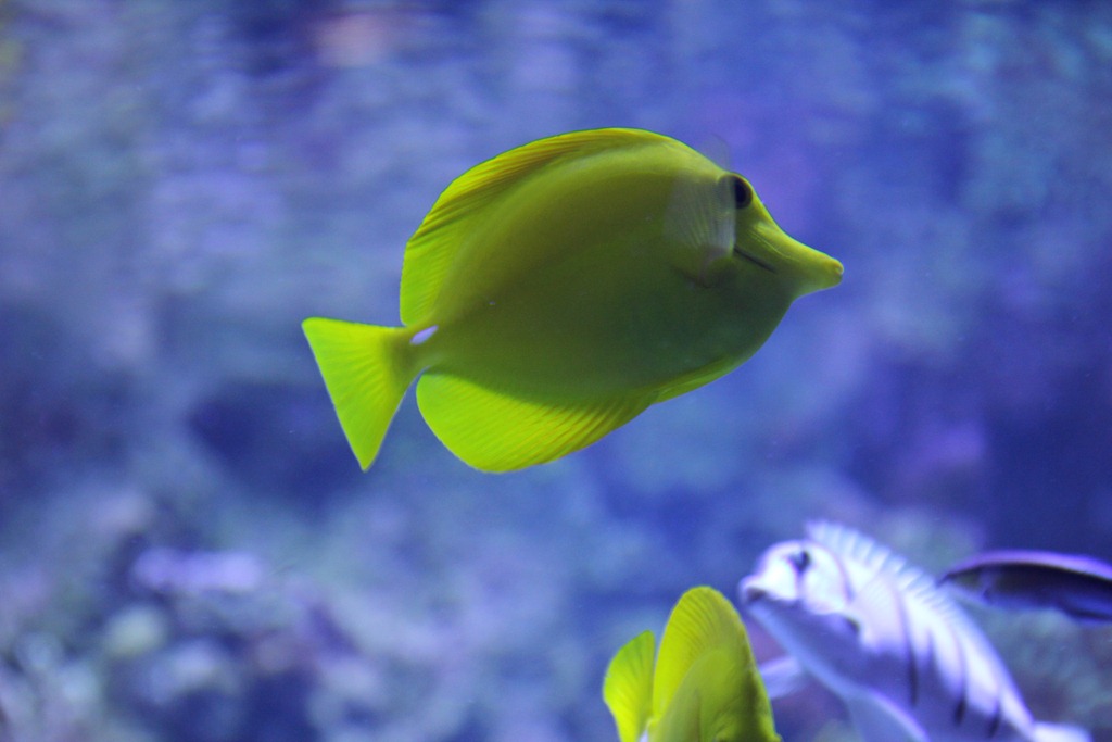 [IMG_3877%255B5%255D.jpg]