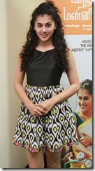 taapsee_pannu_new_gorgeous_photo