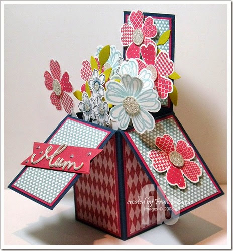 MumPopUpBox2-wm MumPopUpBox2-wm