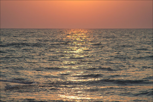 IMG_8407.jpg