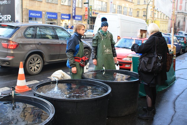 [IMG_00194.jpg]
