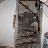 IMG_1516.jpg