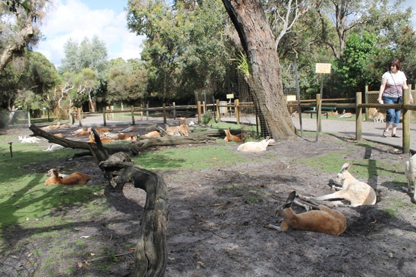 [IMG_0312_resize3.jpg]