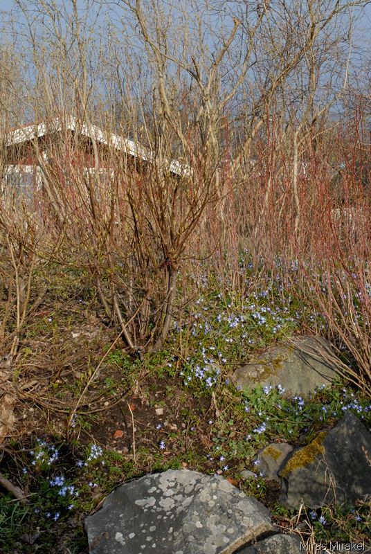 [_DSC0410a%255B4%255D.jpg]
