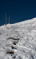 IMG_5858.jpg Photo