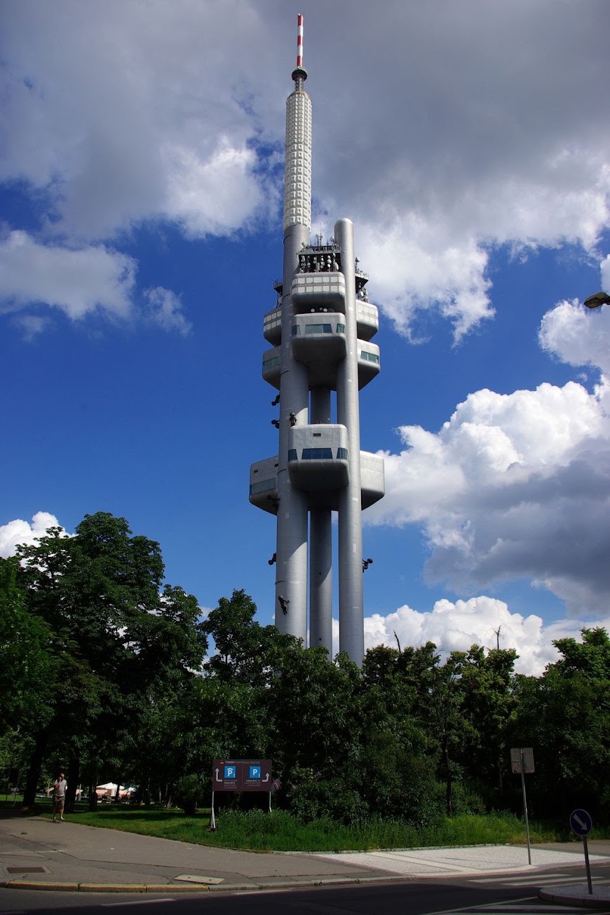 IMGP8202.JPG
