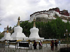 DSCN9234.JPG