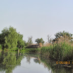 IMG_7867.JPG