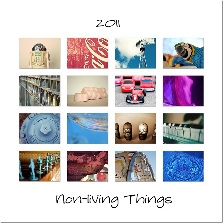 2011-non-living-things-phot