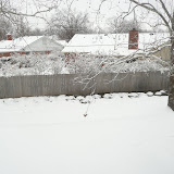 Winter Storm 2010