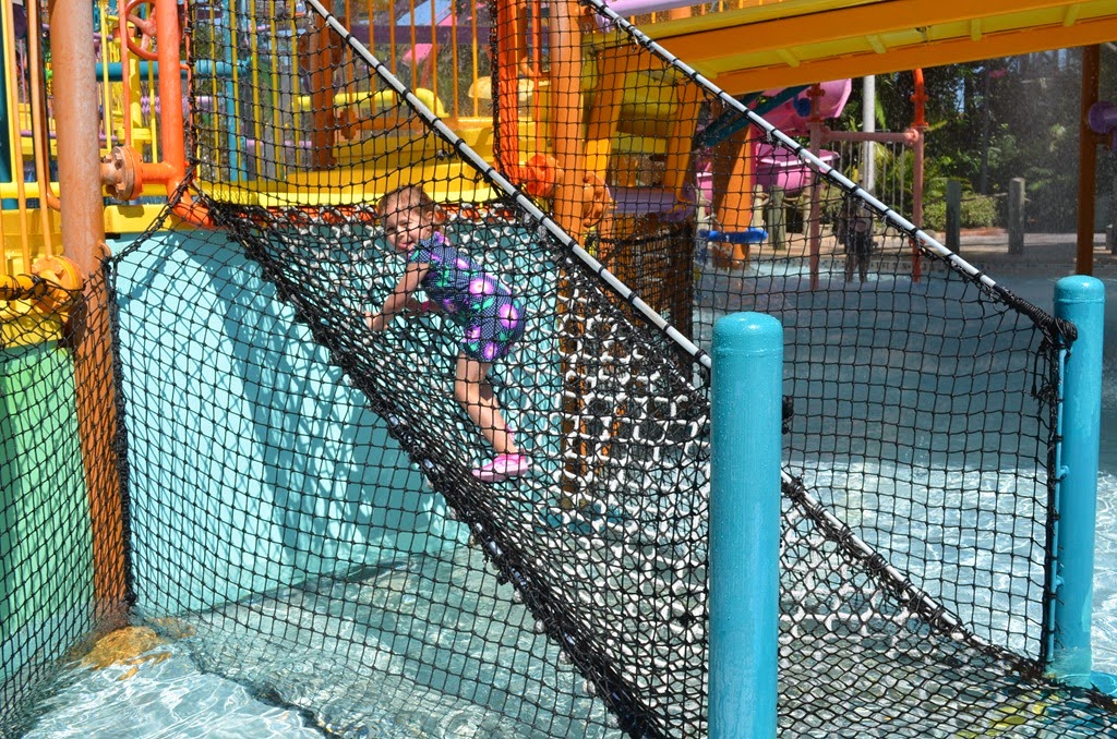 [DSC_7334%255B5%255D.jpg]