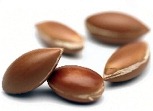 [sem-argan%255B6%255D.jpg]