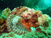  Koh Lipe Resimleri Fotoğrafları