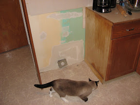 Behind the stove, with the hole patched.  Taste the rainbow.