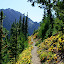 Marmot Pass