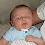 nuk 2 002.JPG