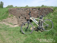 dsc06881.jpg