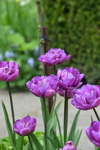 20130518_110256