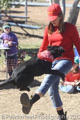 IMG_9207 IMG_9207