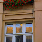 krakow window0595.jpg krakow window0595.jpg