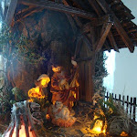 1577-3.jpg 1577-3.jpg