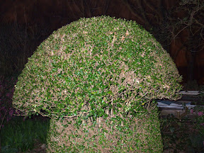DSCF6048.jpg