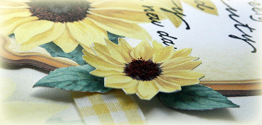 [SunflowerWildflowers-FS%255B5%255D.jpg]
