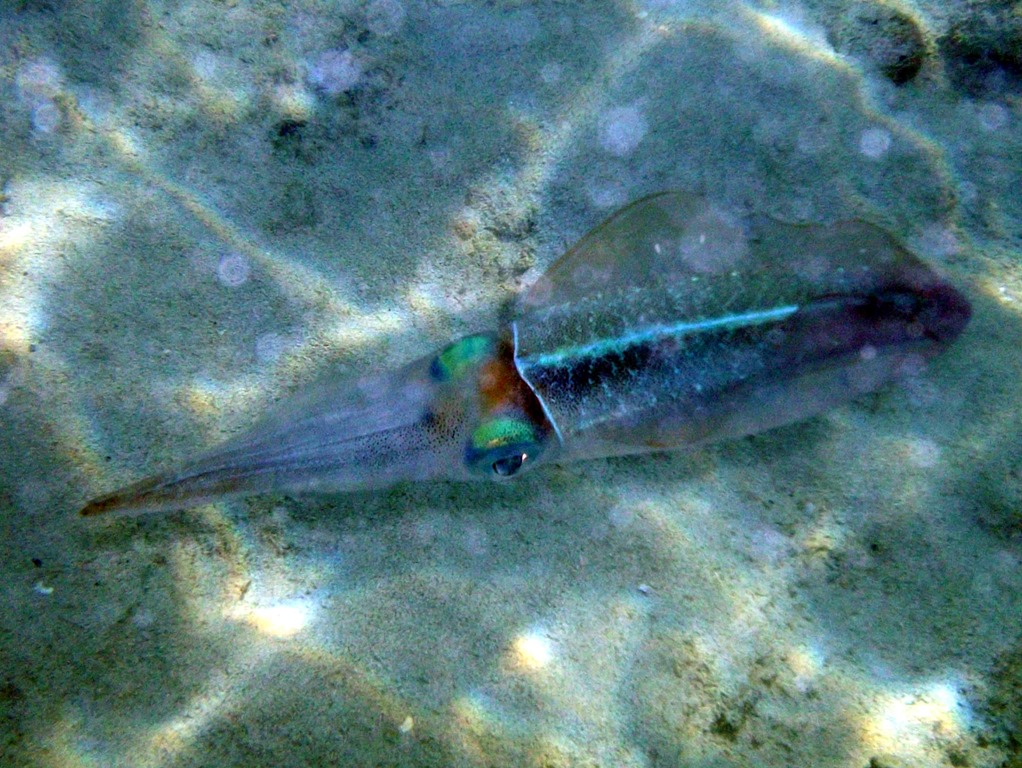 [100_0981%255B3%255D.jpg]