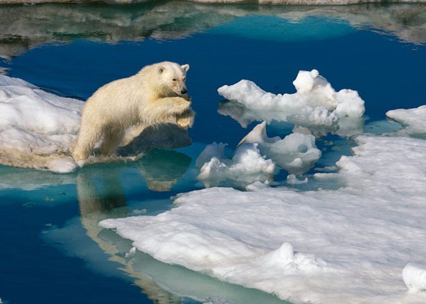 [svalbard5%255B4%255D.jpg]