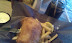 Fish 'n' Chips @ Montana's Cookhouse