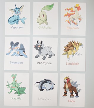 Luke's Pokemon Friend Party-22