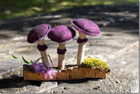 FUNGHI VERO FALSO-008