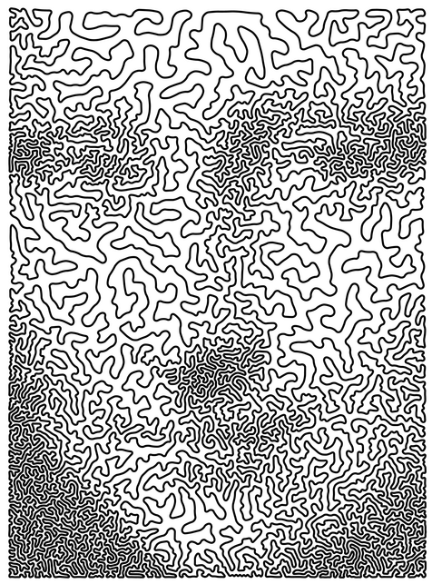 Portraits Made With a Single Unbroken Line